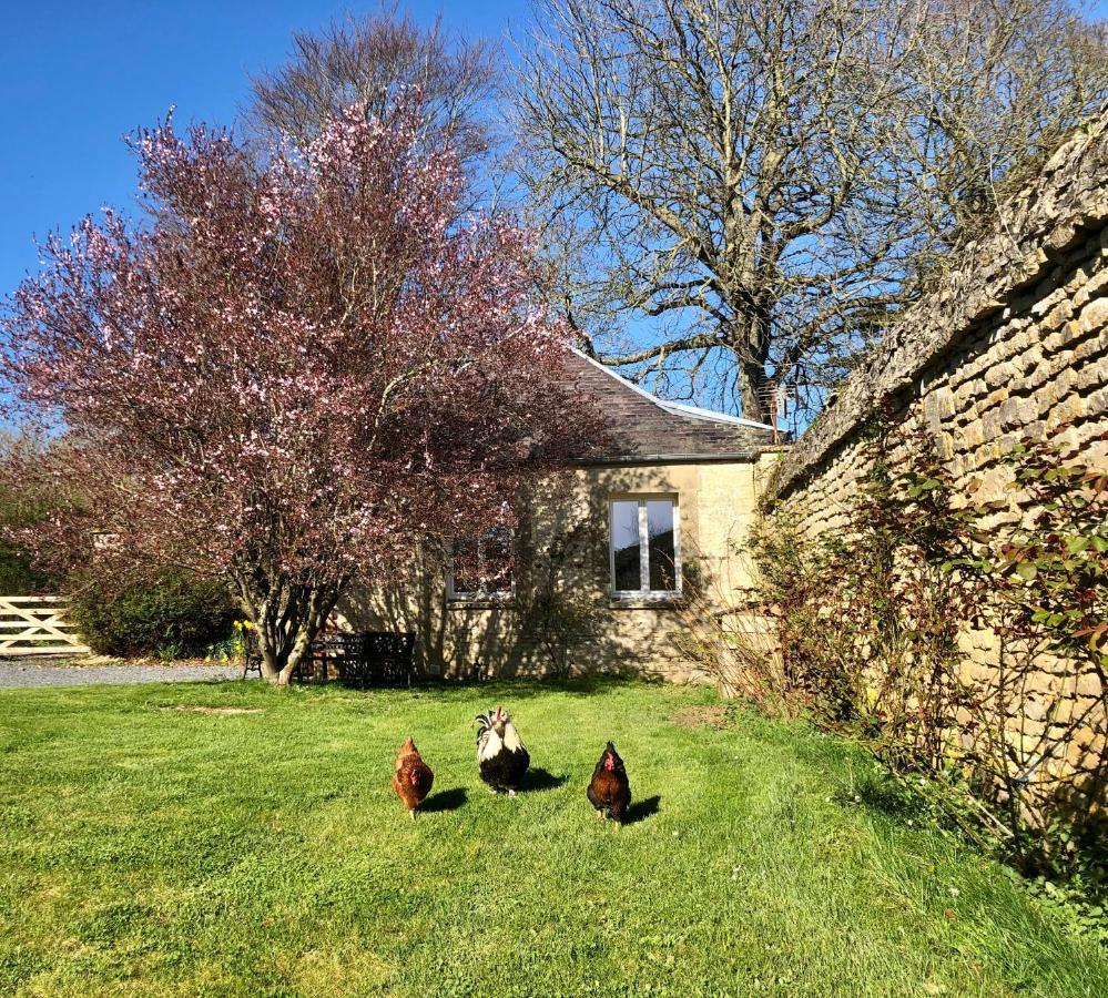 Les Gites De La Mare Saint-Manvieu-Norrey Exterior foto